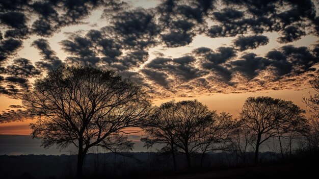 Una puesta de sol con árboles y un cielo nublado.