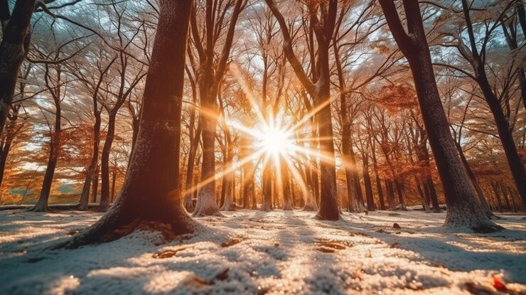 Puesta de sol en el bosque de invierno Hermoso paisaje de invierno con rayos de sol generativo ai