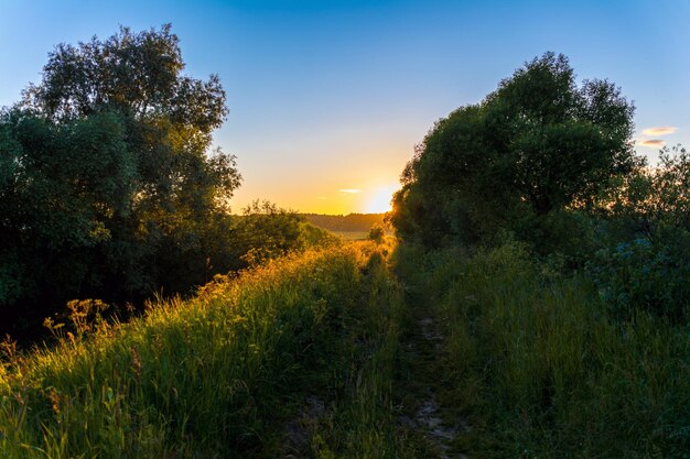 Una puesta de sol en un camino de tierra con un campo en primer plano y un cielo azul con la puesta de sol detrás de él.