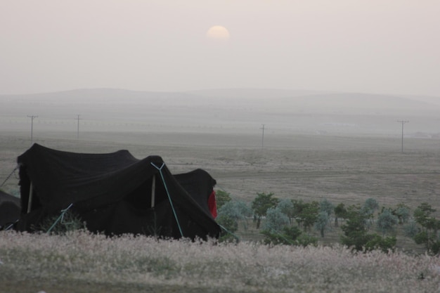 puesta de sol y carpa negra