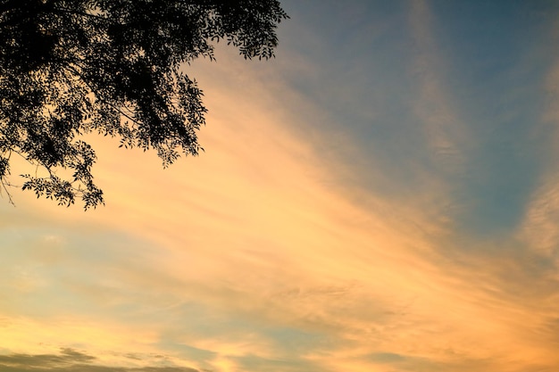 Puesta de sol cielo colorido con fondo de sol y nubes