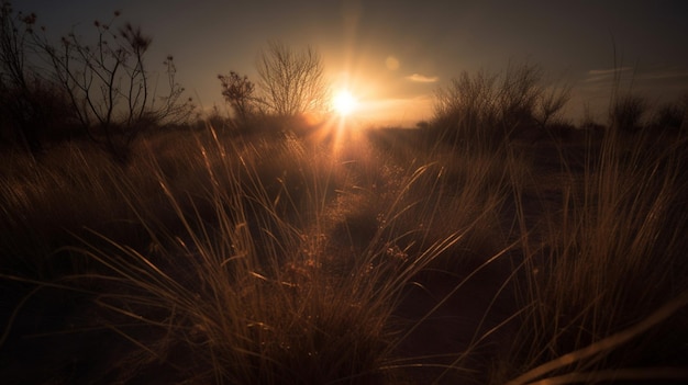 Una puesta de sol en el desierto con el sol poniéndose detrás