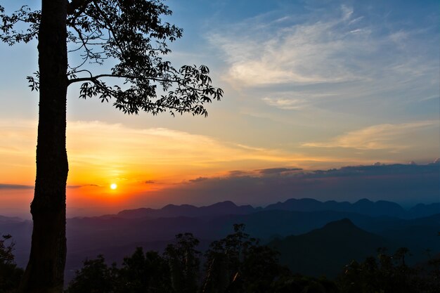 Puesta de sol detrás del árbol sobre la montaña.