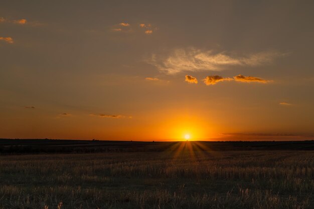 Puesta de sol dorada en campo en Extremadura España