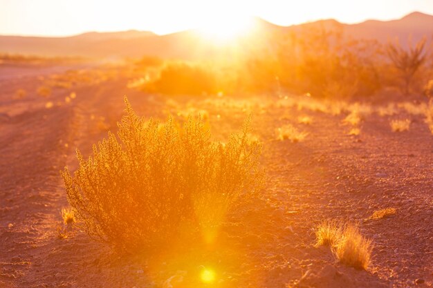 Puesta de sol escénica en las montañas