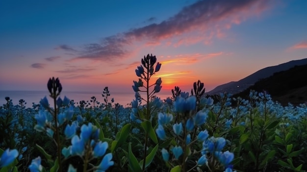 Una puesta de sol con flores azules en primer plano y el sol poniéndose detrás de ella.