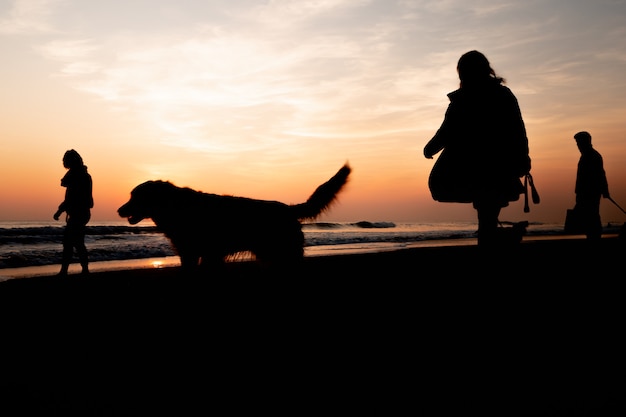 Puesta de sol en una hermosa playa mientras pasea a los perros en un día maravilloso en Portugal