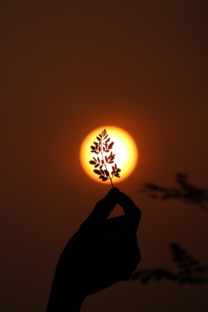 Foto la puesta de sol con una hoja en la mano