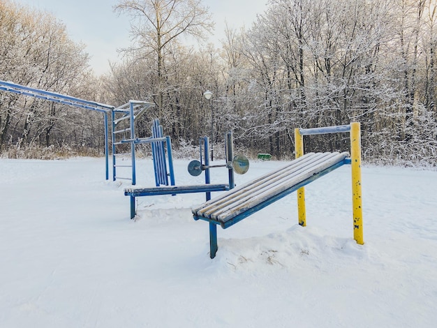 Puesta de sol de invierno en el parque cubierto de nieve Concepto de temporada y clima frío