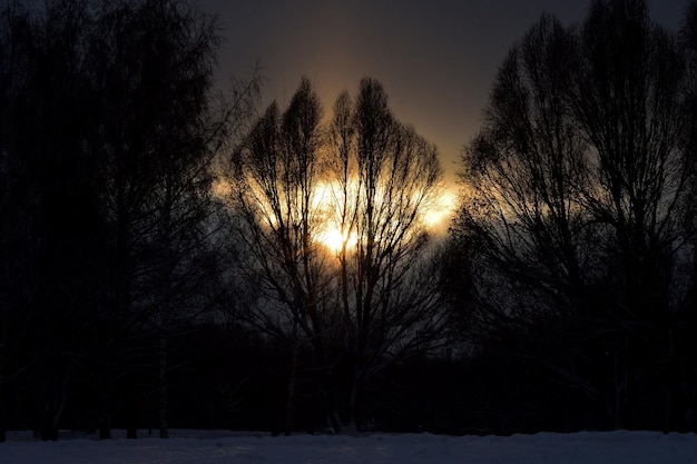 Puesta de sol en invierno subida puesta de sol en el parque de invierno