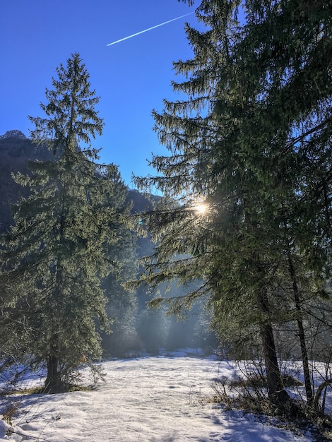 puesta de sol en invierno