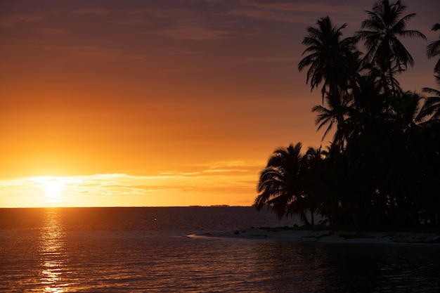 Puesta de sol en la isla del mar tropical con palmeras vacaciones de verano resort tropical y viajes conce ...