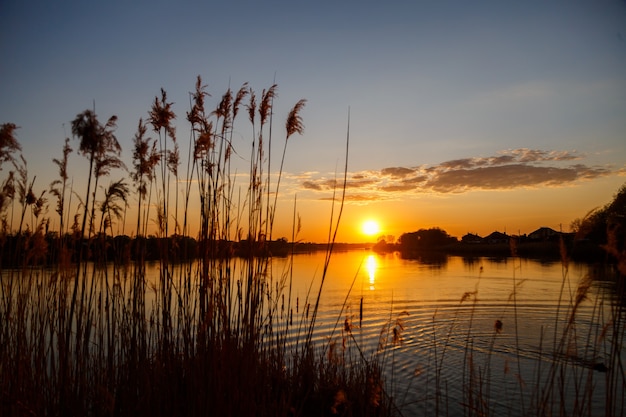 Puesta de sol en el lago, el sol se pone detrás de los árboles y hermosos reflejos en el agua