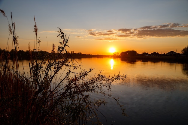 Puesta de sol en el lago, el sol se pone detrás de los árboles y hermosos reflejos en el agua