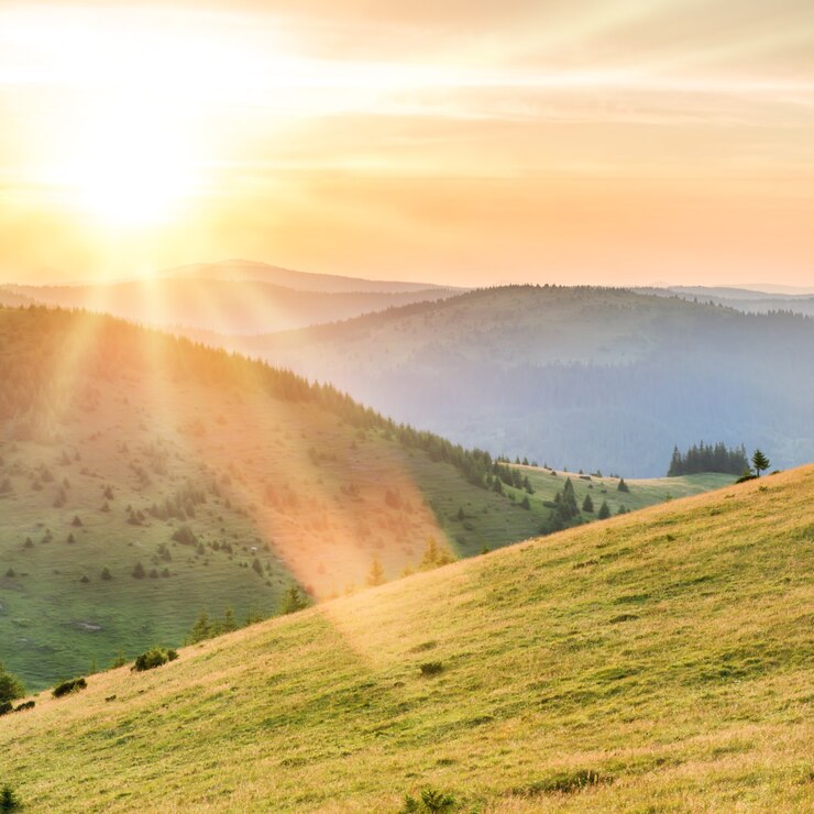 Puesta de sol en las montañas con bosque, pasto verde y gran sol brillante en el cielo espectacular