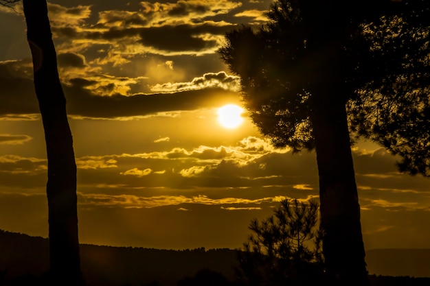 Puesta de sol en las montañas entre los pinos en un día con nubes.