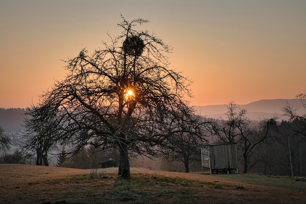 Foto puesta de sol en las montañas