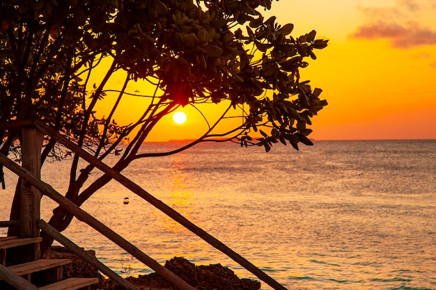 Foto puesta de sol naranja tropical con siluetas de árboles y mar