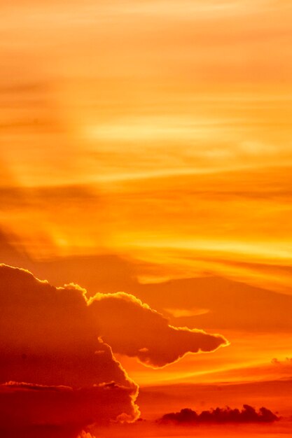 Una puesta de sol con una nube con forma de pájaro.