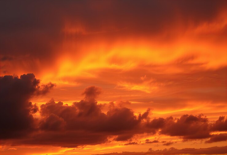 una puesta de sol con nubes y un pájaro volando en el cielo