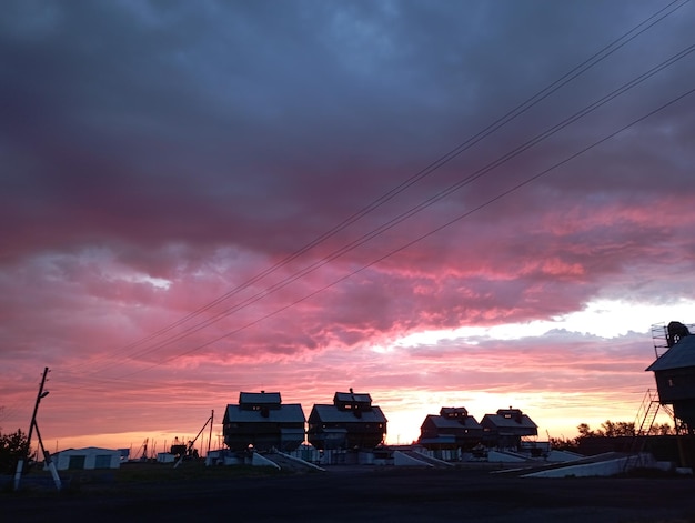 Foto puesta de sol o amanecer en un campo de primavera con hierba verde, sauces y cielo nublado. haciendo rayos de sol