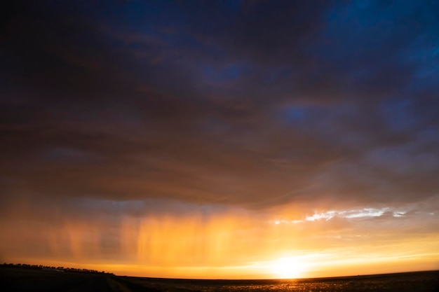 Puesta de sol o amanecer en un campo de primavera con hierba verde, sauces y cielo nublado. Haciendo rayos de sol