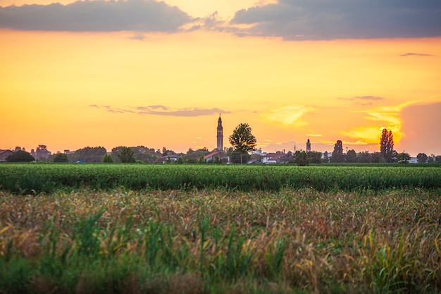 Puesta de sol en un paisaje con campanario, árboles y campo