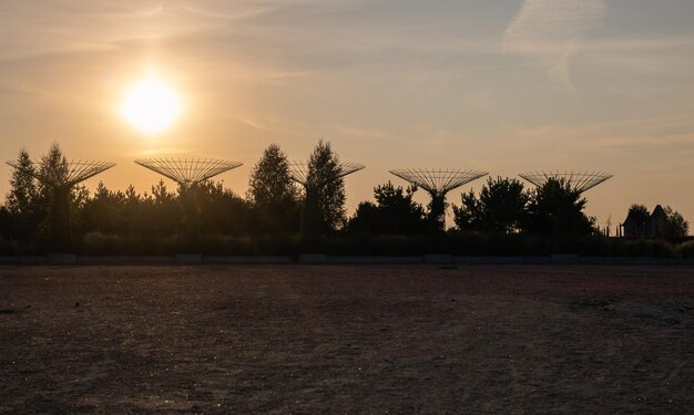 Puesta de sol en el parque paisajístico