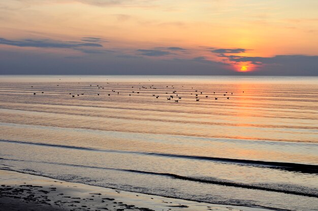 Puesta de sol en la playa del mar Báltico, Jurmala Letonia. Puesta de sol en la playa del mar Báltico, Jurmala Letonia.