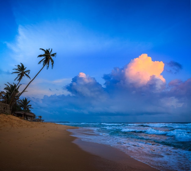 Puesta de sol en la playa tropical