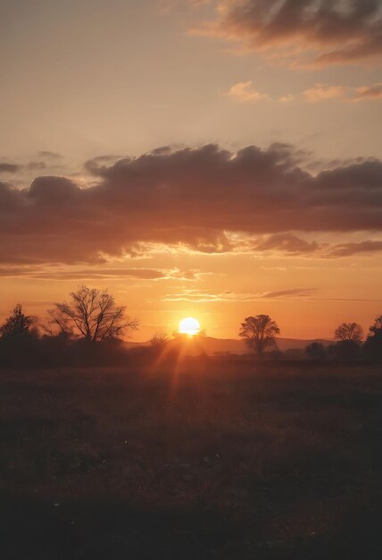 una puesta de sol con unos pocos árboles en el fondo