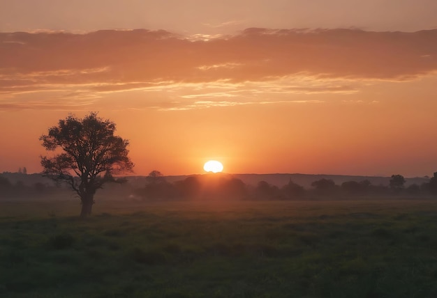 una puesta de sol con unos pocos árboles en el primer plano y una posta de sol en el fondo