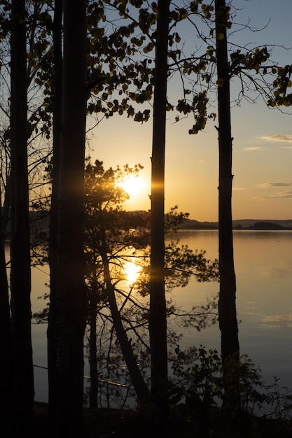 Puesta de sol en el río a través de los árboles