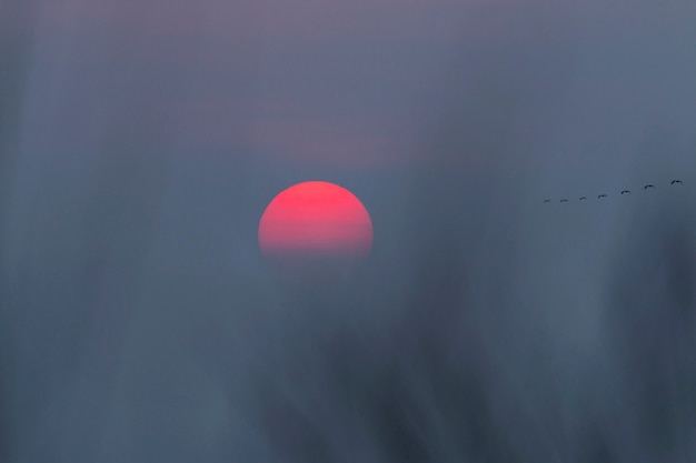 Puesta de sol rojo con cielo azul oscuro