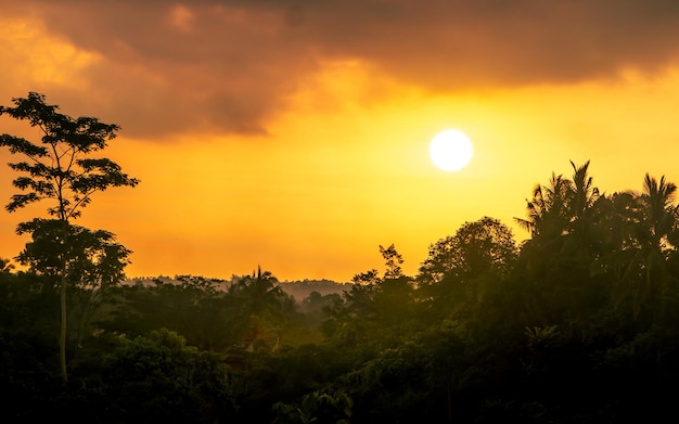 Foto puesta de sol en silueta sobre el bosque tropical