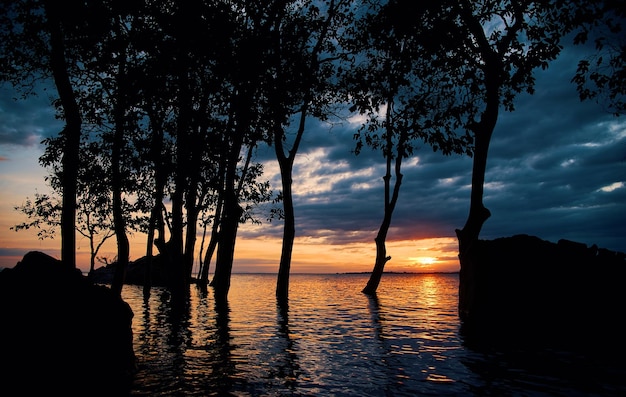 Una puesta de sol sobre el agua con árboles en el agua.