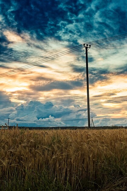 La puesta de sol sobre los campos de cebada