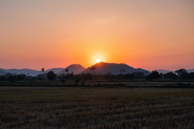 Puesta de sol sobre la cordillera en el campo de arroz en el campo