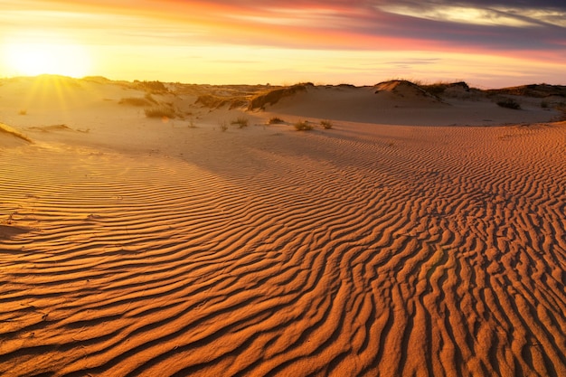 Puesta de sol sobre las dunas de arena en el desierto Paisaje árido del desierto del Sahara