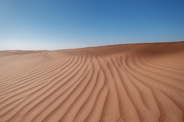 Puesta de sol sobre las dunas de arena en el desierto