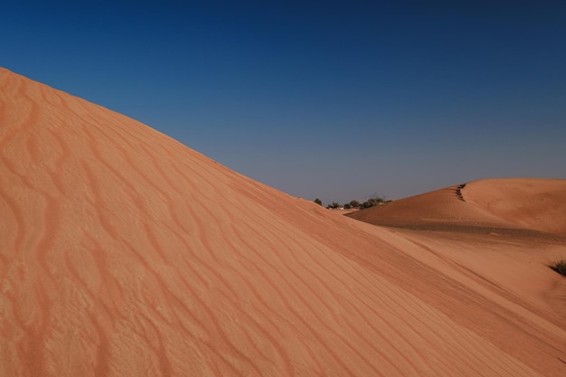 Puesta de sol sobre las dunas de arena en el desierto