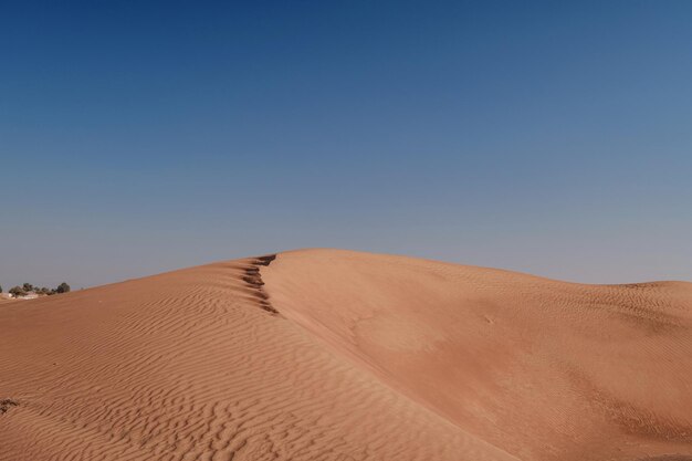 Puesta de sol sobre las dunas de arena en el desierto