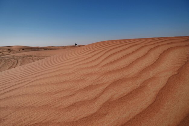 Puesta de sol sobre las dunas de arena en el desierto