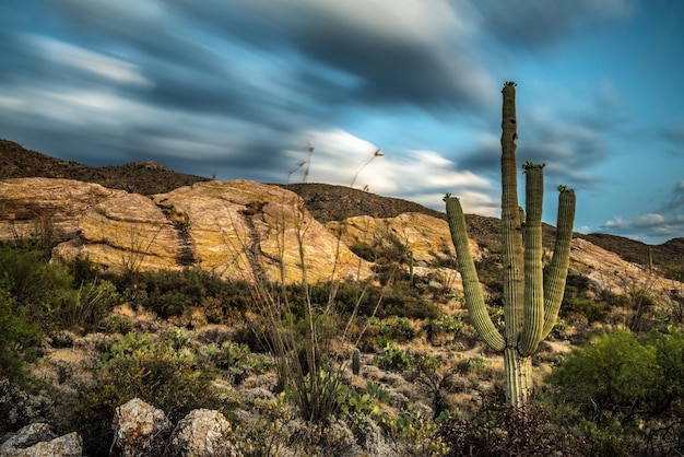 Puesta de sol sobre Javelina Rocks en el Parque Nacional Saguaro