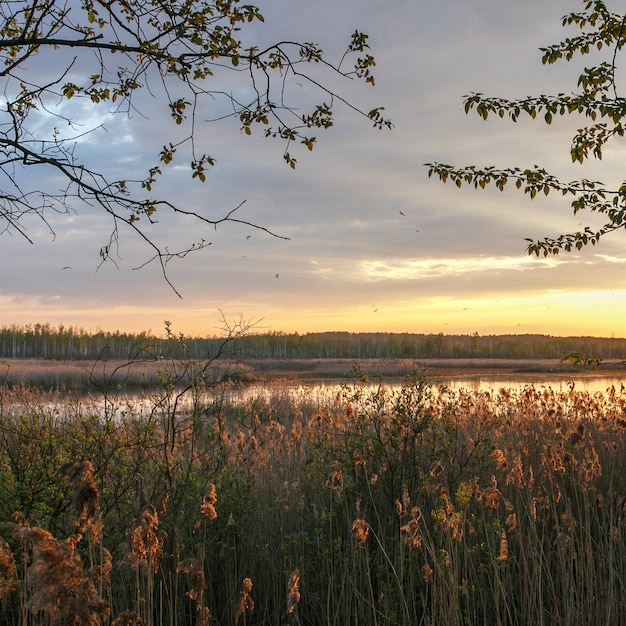 Puesta de sol sobre un lago natural limpio