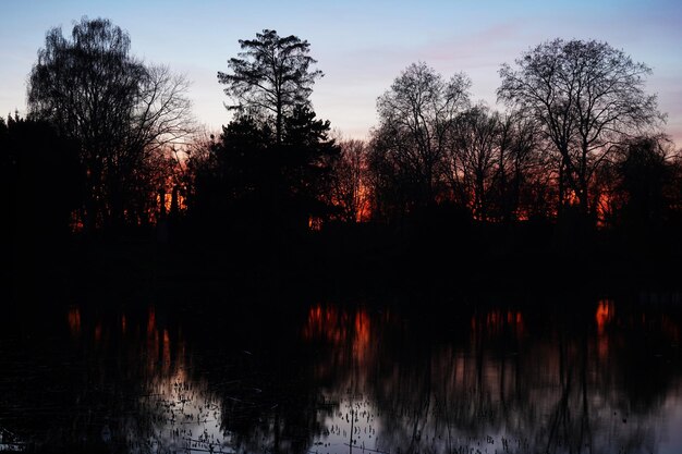 Puesta de sol sobre el lago con silueta de árboles desnudos