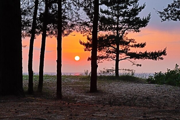 Puesta de sol sobre el mar el sol se pone sobre el horizonte