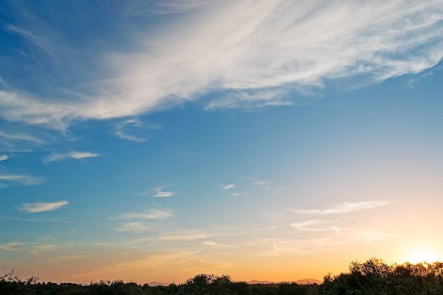 Puesta de sol sobre olivos en Cerdeña