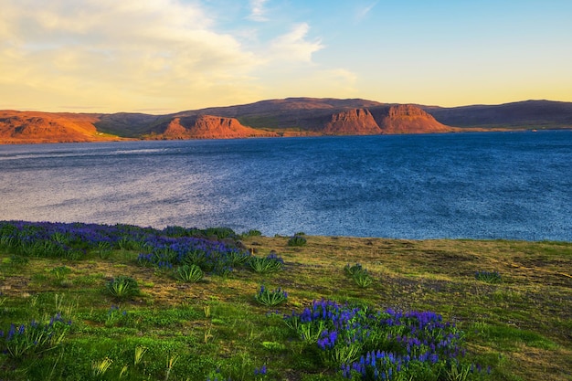 Puesta de sol sobre el paisaje del fiordo cerca de Patreksfjordur en Westfjords Islandia