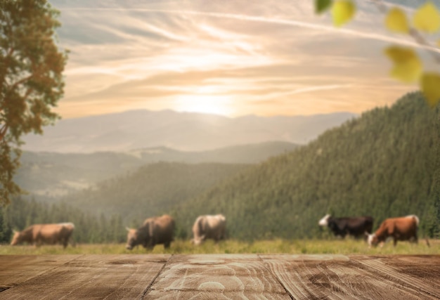 Foto la puesta de sol sobre el paisaje pastoral con vacas y mesa de madera